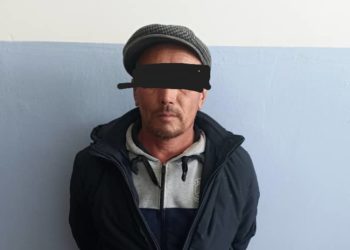 Таласта зордуктоого шектелип, издөөдө жүргөн жаран Бишкекте колго түштү