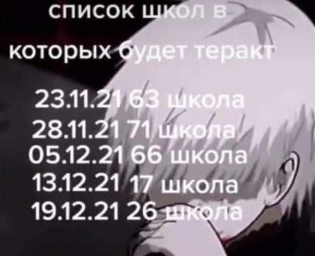 Тик-Токто Бишкектин айрым орто мектептеринде террордук актылар болушу мүмкүн делген видео тарады. УКМК эмне дейт?