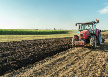 Дыйкандар жана фермерлер жер салыгынан бошотулду. Жарлыкка президент кол койду