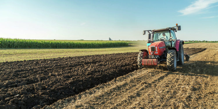 Дыйкандар жана фермерлер жер салыгынан бошотулду. Жарлыкка президент кол койду