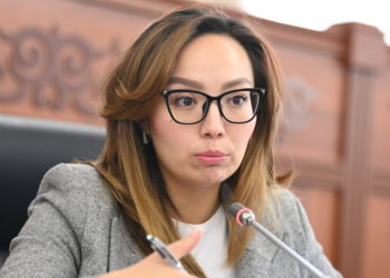 Депутат: «Кыргызстанда жарандар зөөкүрлөрдү таш бараңга алабыз деген учурга жетти»