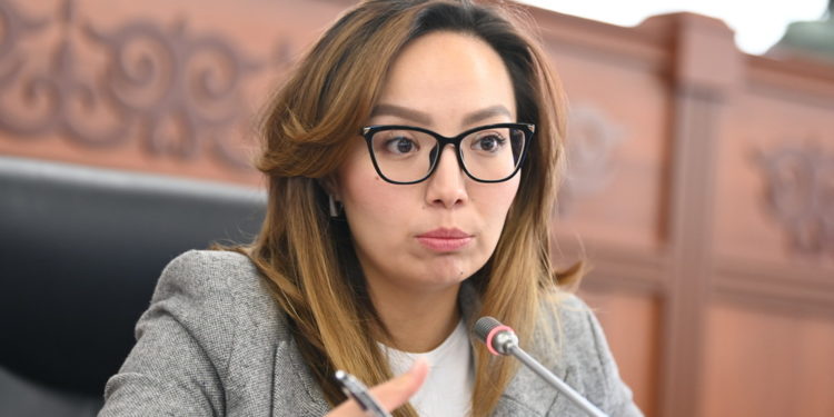 Депутат: «Кыргызстанда жарандар зөөкүрлөрдү таш бараңга алабыз деген учурга жетти»