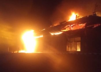 Ноокатта кыйылган 4 өмүр: Каза болгондор бир үй-бүлө мүчөлөрү болгон