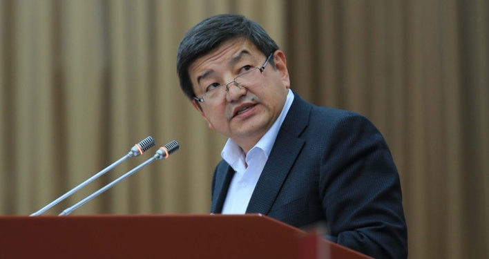 Акылбек Жапаров Орусиянын өкмөтүнүн төрагасы, Өзбекстандын премьер-министри менен сүйлөштү