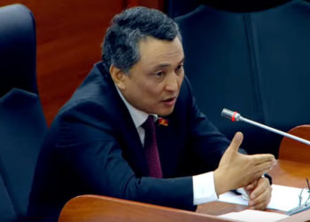 «Өмүрүнүн бир бөлүгүн калтырды». Депутат 6-чакырылыштын депутаттарына Ак үйгө тоскоолдуксуз кирүү укугун берүүнү сунуштады