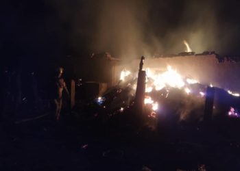 Сузакта сарайдан өрт чыгып, мал-жандыктар күйүп кетти