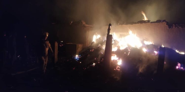 Сузакта сарайдан өрт чыгып, мал-жандыктар күйүп кетти