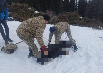 Кегети капчыгайында Түштүк Кореядан келген жер кезер каза болду