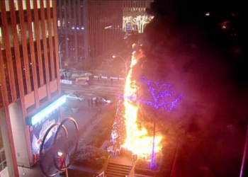 Нью-Йорктогу 15 метрлик балатыны селсаяк өрттөп салды (видео)