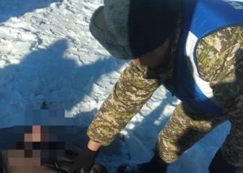 «Өтүп бара жатып түшүп кеткен». Нарын дарыясынан жансыз дене чыгарылды