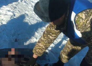 «Башы менен музга тийген». Нарын дарыясынан жансыз денеси чыгарылган жарандын аты-жөнү такталды