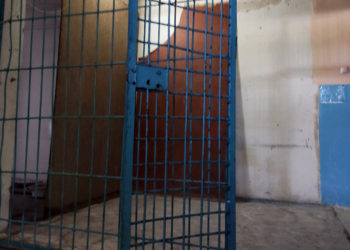 Чоң-Алай РИИБдин убактылуу кармоочу жайында кыйноого туш болдук дегендер тууралуу милиция үн катты