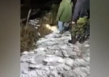 Өлүмүш болуп, аңчылардан качкан чөө. Окуянын видеосу талкуу чордонунда