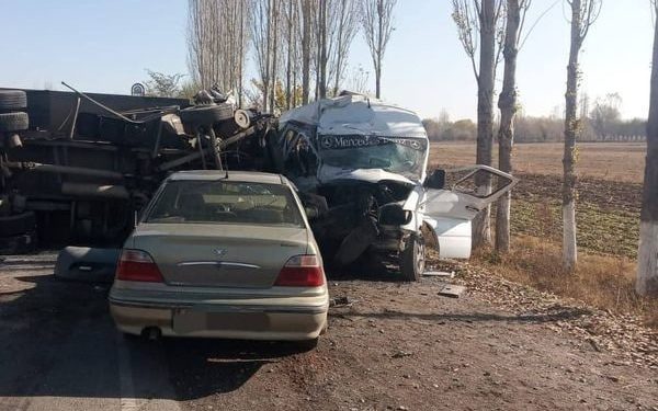 Кара-Сууда 10 адамдын өмүрү кыйылган жол кырсыктын себеби айтылып, айдоочу камакка алынды