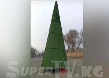 Кочкор-Атадагы «өзгөчө» балаты талкууга жем таштады