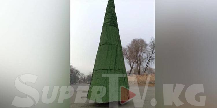 Кочкор-Атадагы «өзгөчө» балаты талкууга жем таштады