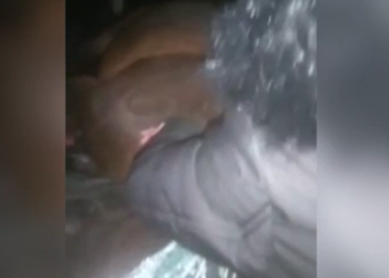 Сокулукта айдоочу жылкыны сүзгөн. Жылкы унаанын ичине кирип кеткен (видео)