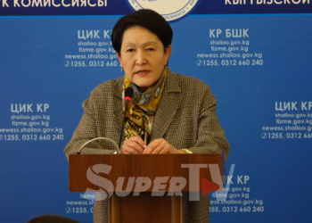 Шайлдабекова механикалык ката эмне экенин түшүндүрдү