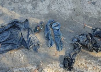 Чүйдө жолдун жээгинен аял кишинин чирий баштаган жансыз денеси табылды