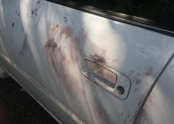 Бишкек-Ош жолунда милиция кызматкерлери унааны токтотуп, ичинен кыздын жансыз денесин табышты