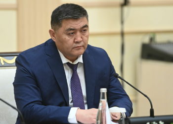 Ташиев Temirov LIVE каналынын иликтөөсү тууралуу: «Мен жөнүндө айтып жатканы карандай калп»