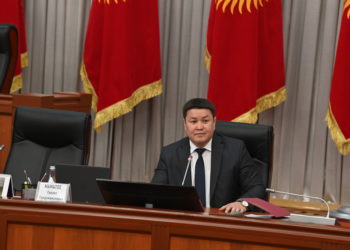 Жогорку Кеңеште комитет башчыларынын орун басарлары шайланды