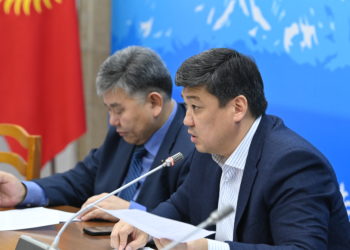 «Ата-Журт Кыргызстан» Шаирбек Ташиевдин мандатын тапшыруусу боюнча адилет иликтөө жүргүзүүнү өтүндү