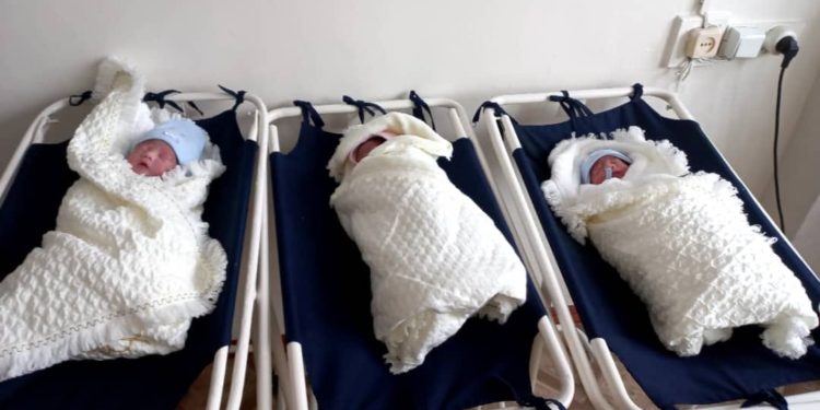 Ошто үч эм жарыкка келди