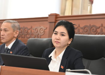 Нарматованын диплому боюнча УКМКнын материалдары БШКга келип түштү