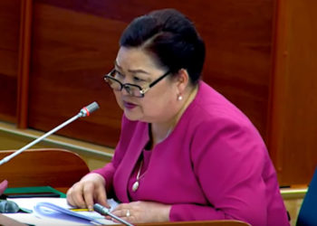 «Арабызда бир орус жараны жок». Нарматова депутаттарга кыргызча сүйлөөнү сунуштады