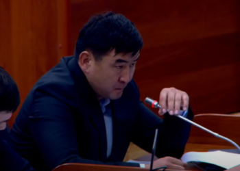 «Ата-Журт Кыргызстандан» депутат: «Казакстандын ички чыр-чатагына кийлигишпей эле койсок болмок»