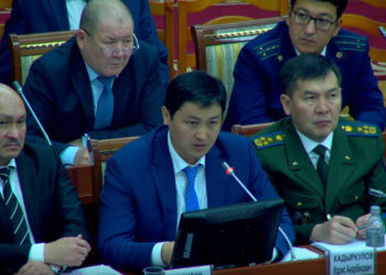 Марипов Сауд Арабиядагы, Кадыркулов Украинадагы элчилик кызматка сунушталууда