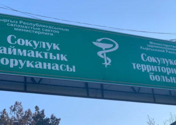 Акыйкатчы аппараты: «Сокулукта сабалган баланын апасы шектүүнүн күнөөсү жок экенин айтты. Ал шектүү менен жашап алган»