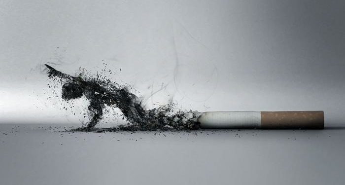 Депутат: «Эмне үчүн Кыргызстанга караганда Казакстан менен Орусияда тамеки арзан?»