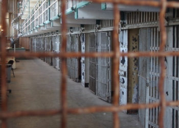 2010-жылы Индонезияда 12 жылга эркинен ажыратылган кыргызстандык мекенине келди