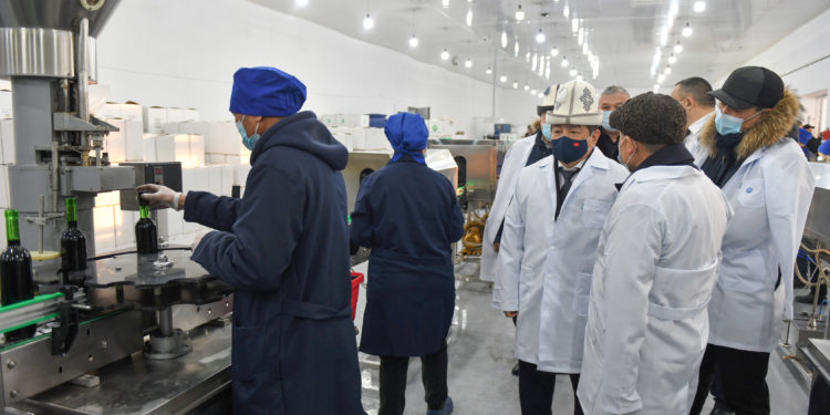 «Мамлекет салыкты так төлөгөн бизнести колдойт». Жапаров «Кыргыз шампаны» ишканасына барды