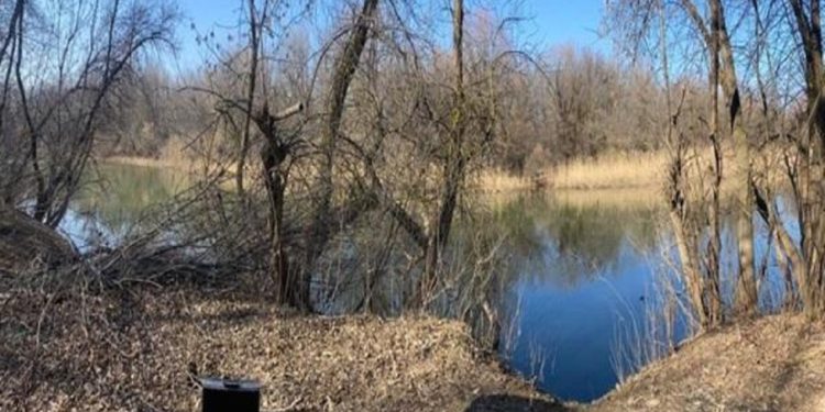 «Зордуктап, колун байлап, сууга ыргыткан». Орусияда 14 жаштагы кызды өлтүрүүгө шектелип, таксист кармалды