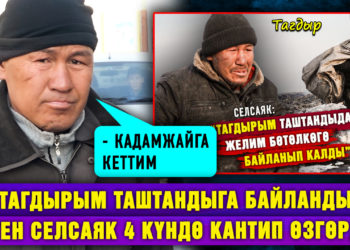 “Тагдырым таштандыга байланды” деген селсаяк 4 күндө кантип өзгөрдү?