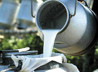 Бишкекте жыл башынан бери сүт дээрлик 12 сомго кымбаттады