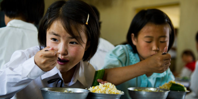 Министрлик бир окуучунун күнүмдүк тамак-ашына 14-20 сом бөлүүнү сунуштап жатат