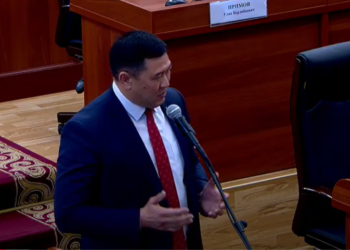 Депутат: «Ким аферист экенин далилдеш үчүн министр Алымкадыр Бейшеналиевди чакыралы»