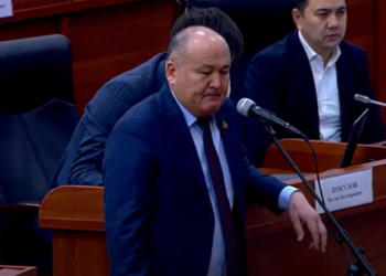 Депутат: «Байсалов «кылыбыз кыйшайбайт» дейт. Эмне болгон кыл экен?»