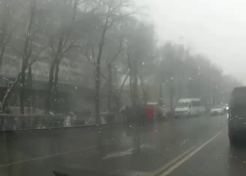 Бишкекте айдоочу милициянын кайгуул кызматкерин сүзүп, качып кетти