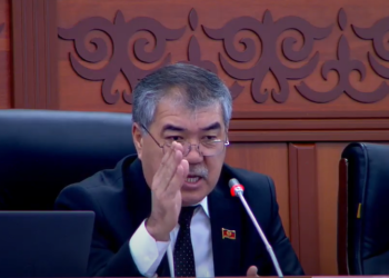 «Жаш, жакшы жигит деген жумуш жок». Депутат министрдин орун басары орус тилинде жооп берип жатканына нааразы болду