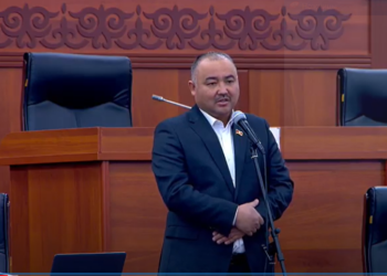 «Балакай баатыр болбосун». Шакиев Байсаловдун депутаттарга карата обу жок сөздөрдү айтканга укугу жок экенин айтты