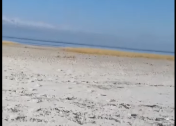 «Быйыл да кургакчылык болобу?». Ысык-Көлдүн суусу тартылганы айтылды (видео)