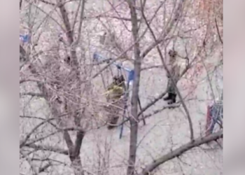 Өрттү өчүрүп коюп, селкинчек тепкен өрт өчүрүүчү (видео)