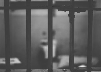 «Кант диабети менен жабыркачу». №47 түзөтүү колониясындагы жаран көз жумду