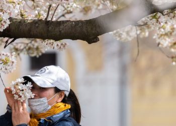 Акыркы суткада 16 адамдан коронавирус аныкталып, 1 адам каза болду. Статистика