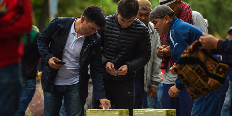 Быйыл битир-садаганын өлчөмү кандай болот?